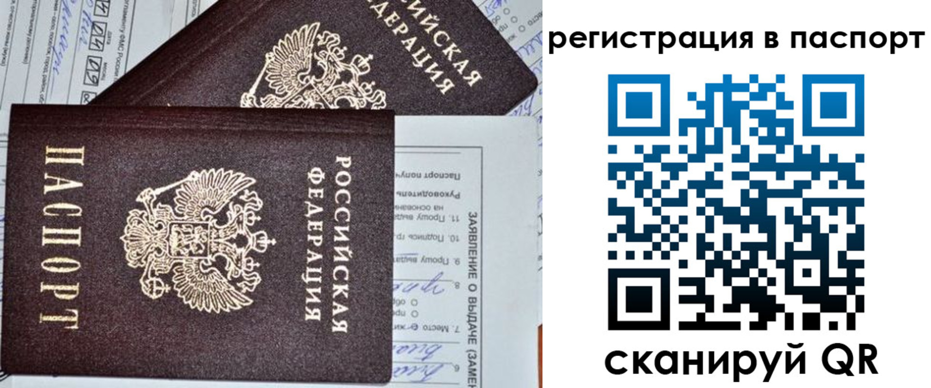 прописка паспорт в Железногорске